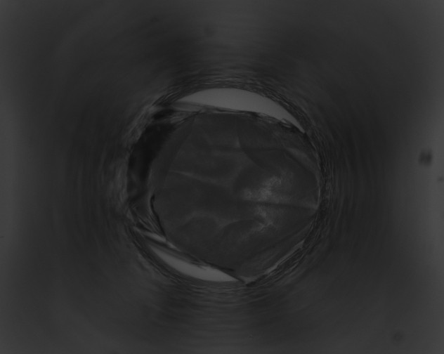 X0000091890708200710031141