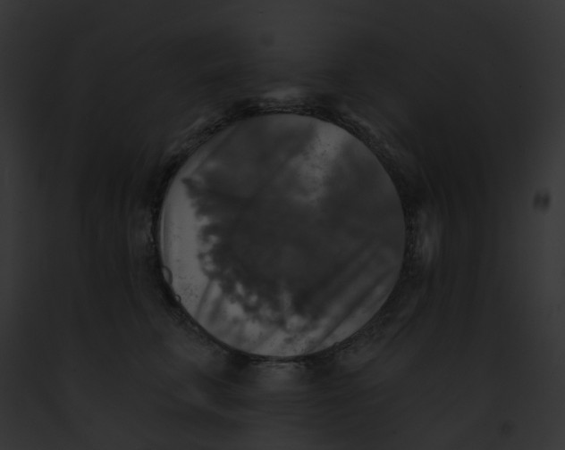 X0000091890711200710031141