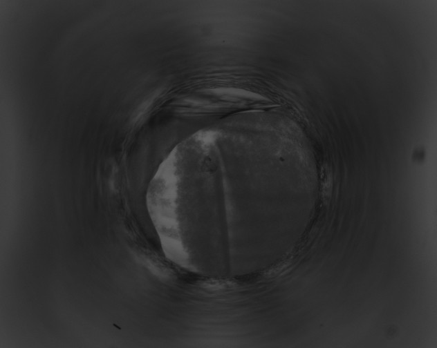 X0000091890712200710031141