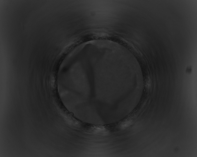 X0000091890715200710031141