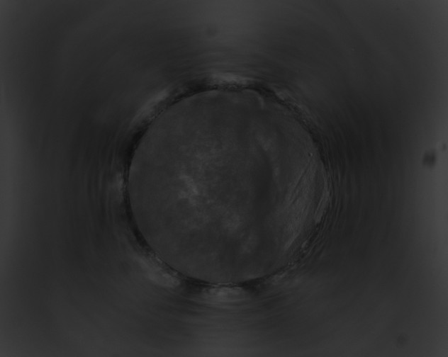 X0000091890716200710031141