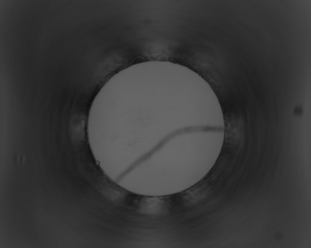 X0000091890717200710031141