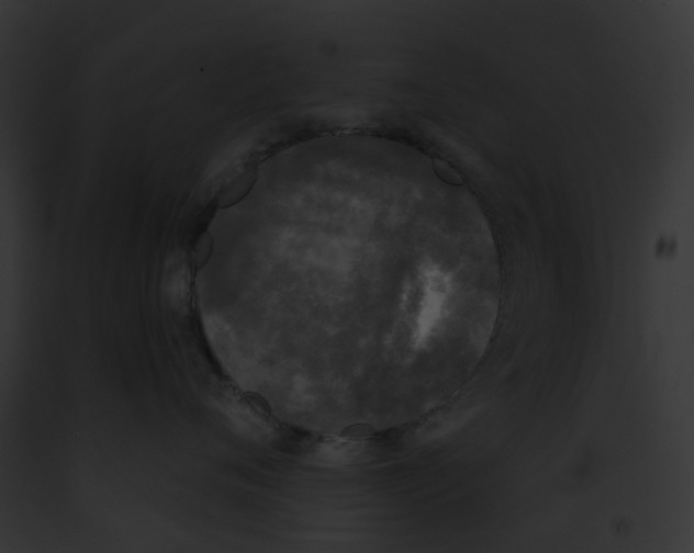 X0000091890720200710031141