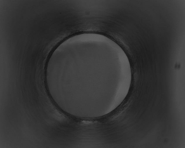 X0000091890721200710031140