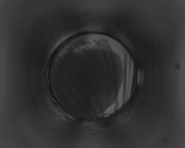 X0000091890723200710031140