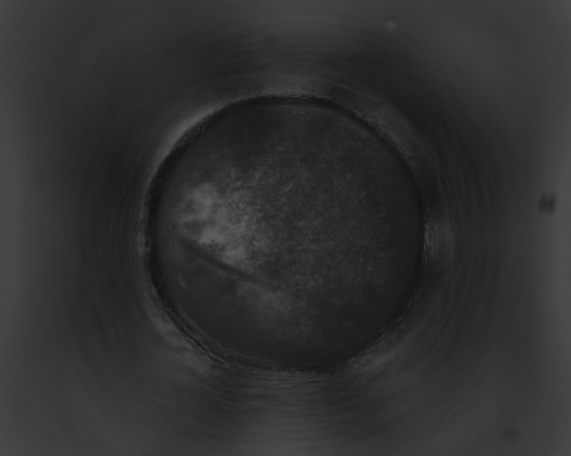 X0000091890724200710031140