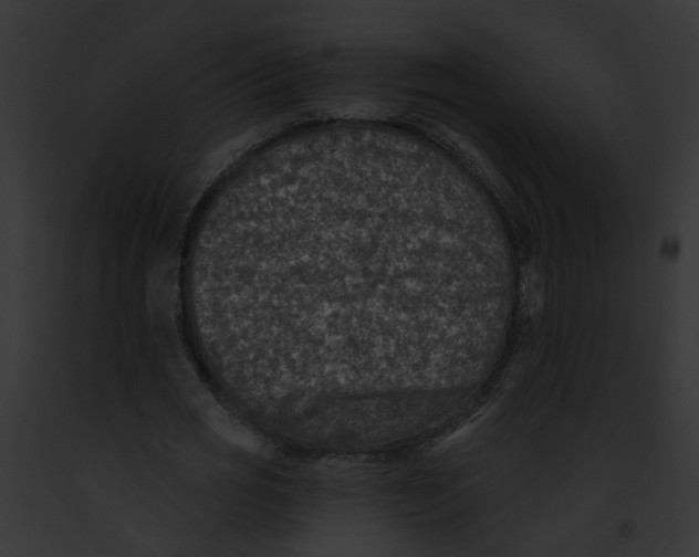 X0000091890725200710031140