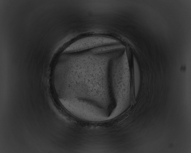 X0000091890730200710031140