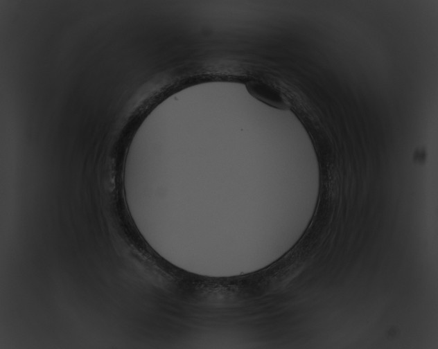X0000091890731200710031140