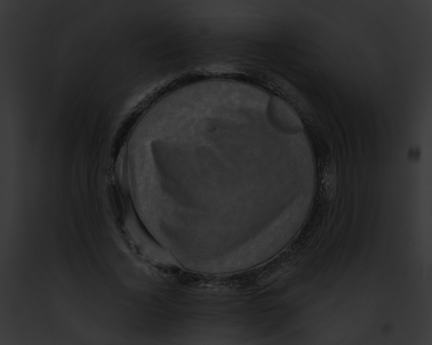 X0000091890732200710031140