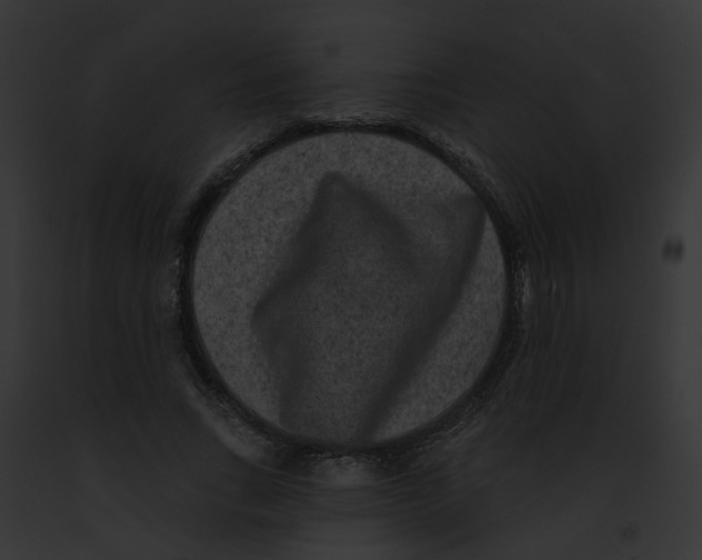 X0000091890735200710031141
