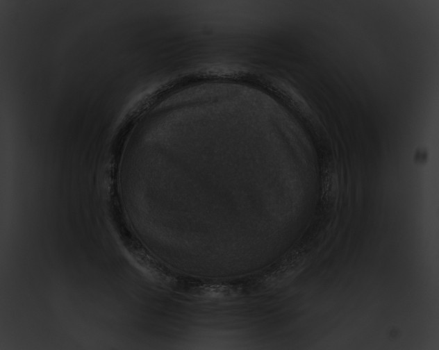 X0000091890736200710031141