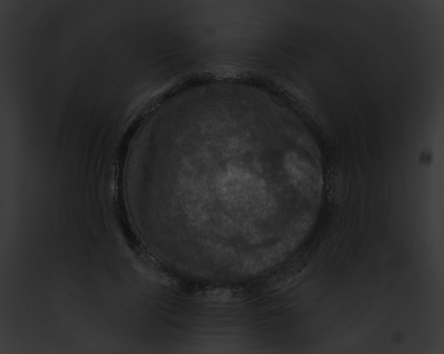 X0000091890740200710031141