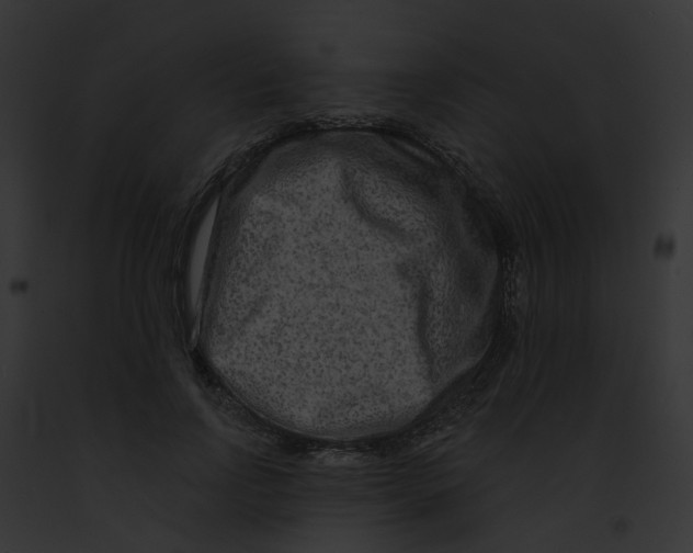 X0000091890742200710031141
