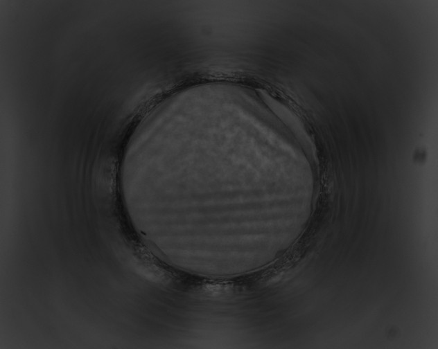 X0000091890744200710031141