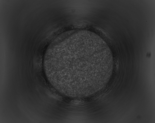 X0000091890745200710031141