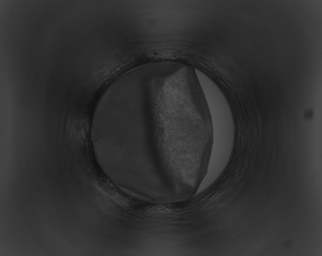 X0000091890747200710031141