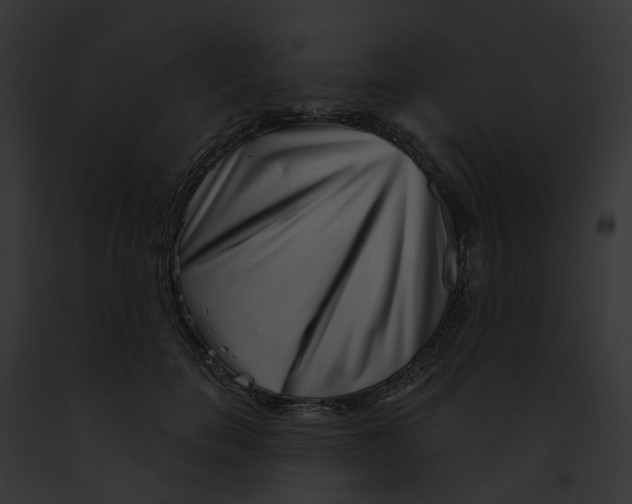 X0000091890750200710031141