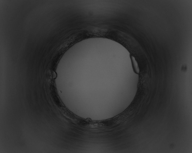 X0000091890752200710031141