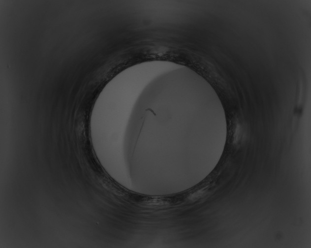 X0000091890754200710031141