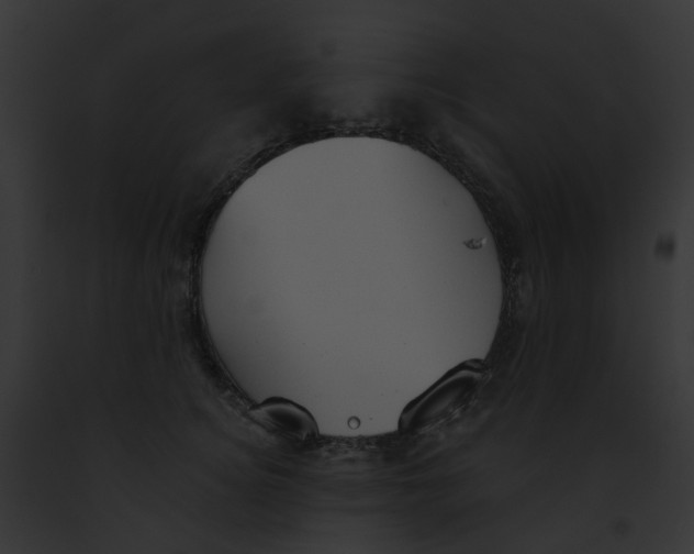 X0000091890756200710031141