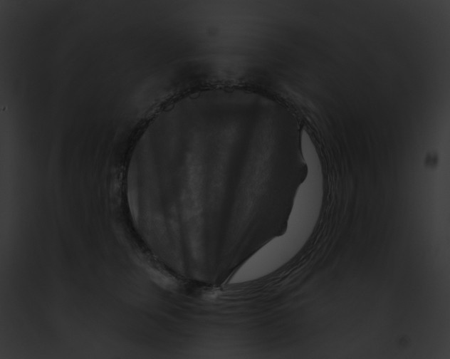 X0000091890759200710031141