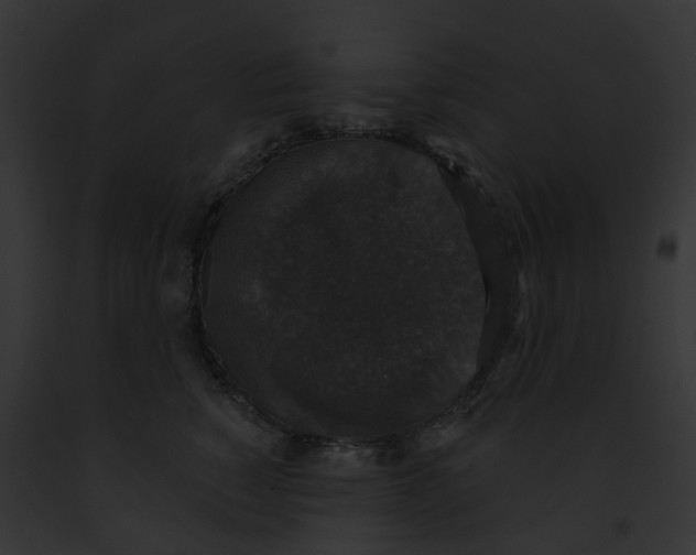 X0000091890760200710031141