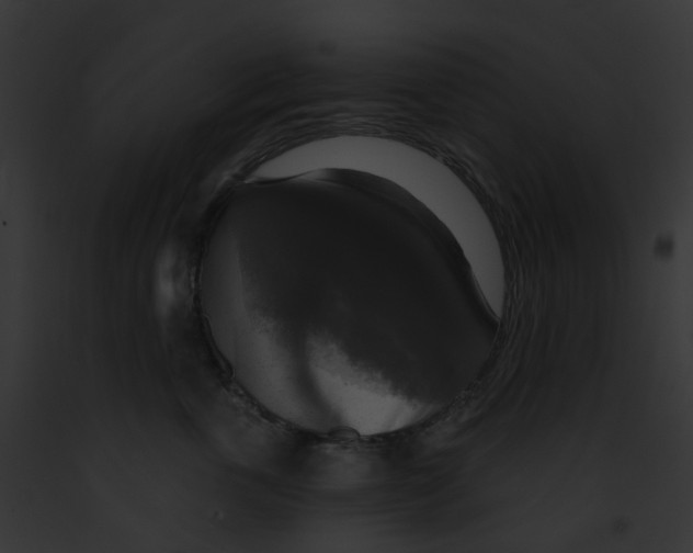 X0000091890763200710031141