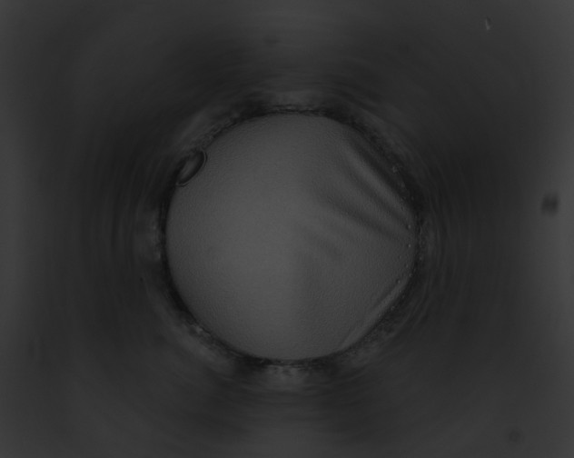 X0000091890764200710031141
