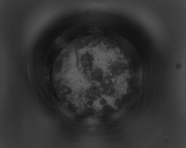 X0000091890765200710031141
