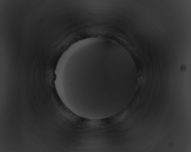 X0000091890767200710031141