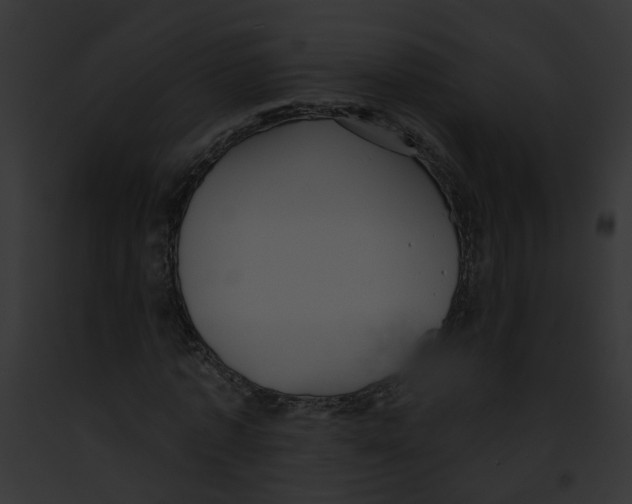 X0000091890773200710031140