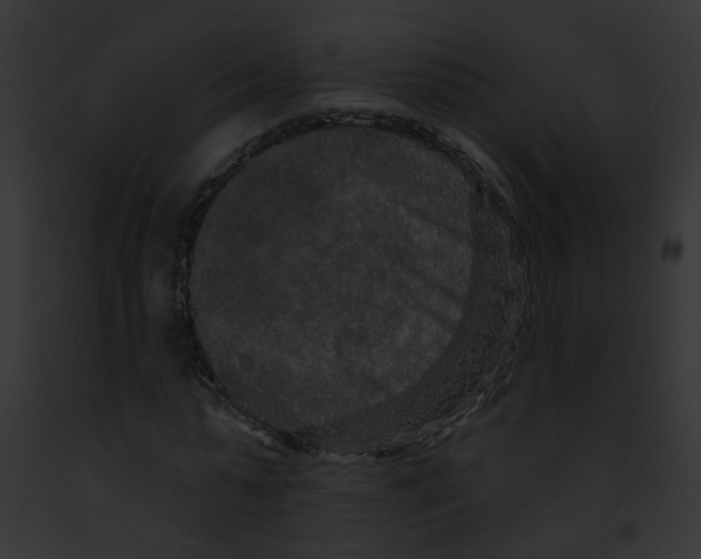 X0000091890775200710031140