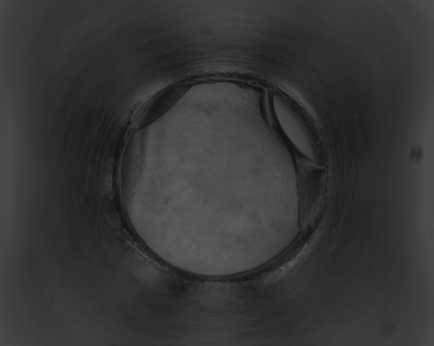 X0000091890777200710031140