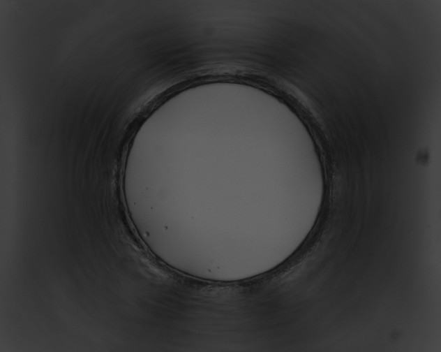 X0000091890778200710031140