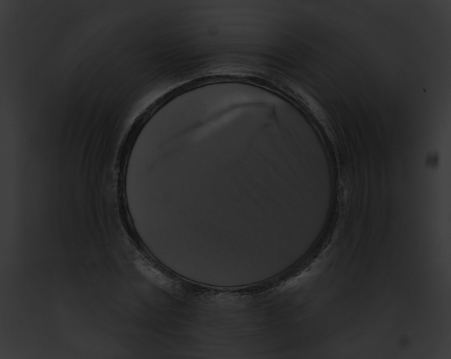 X0000091890779200710031140