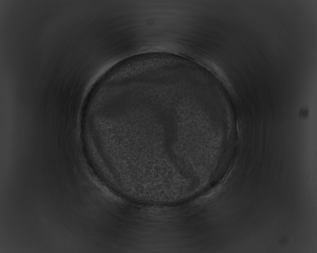 X0000091890780200710031140