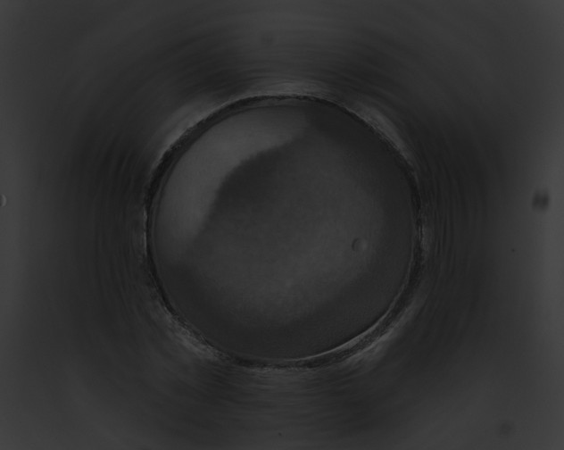 X0000091890781200710031140