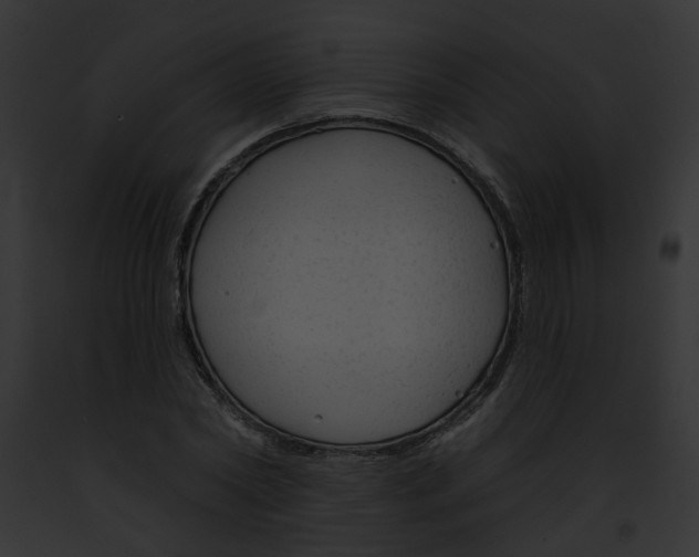 X0000091890782200710031140