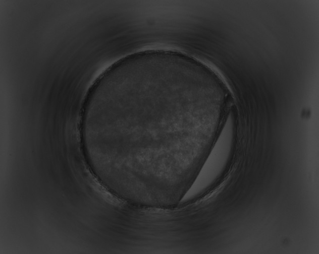 X0000091890783200710031140