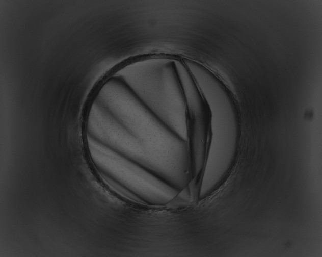 X0000091890784200710031140
