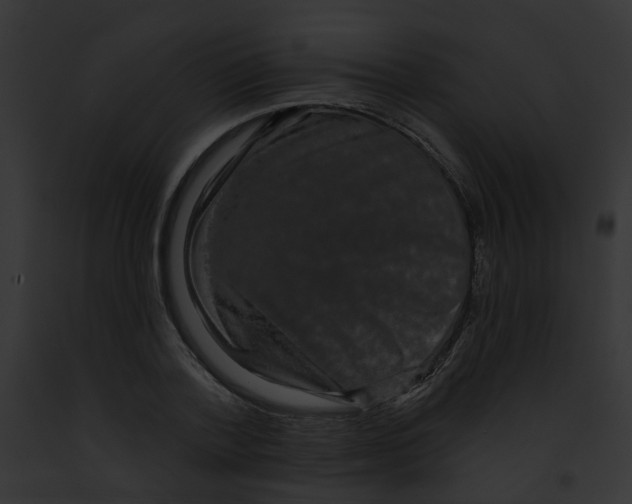 X0000091890788200710031140