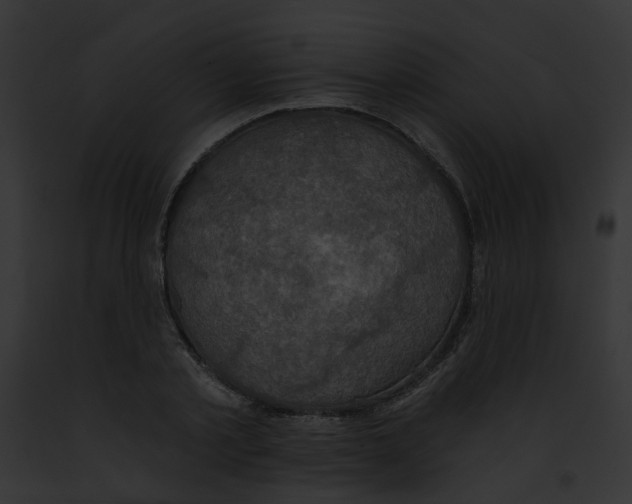 X0000091890789200710031140