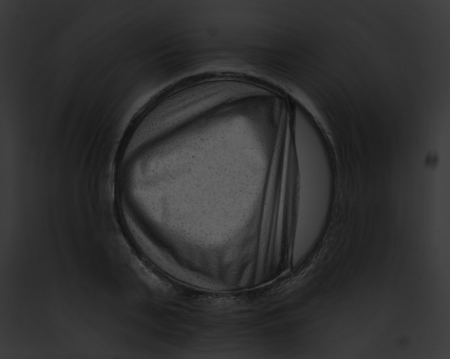 X0000091890791200710031140