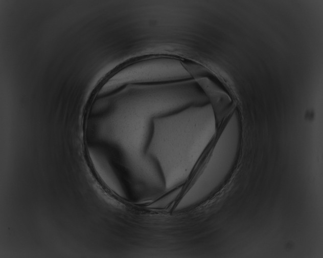 X0000091890792200710031140