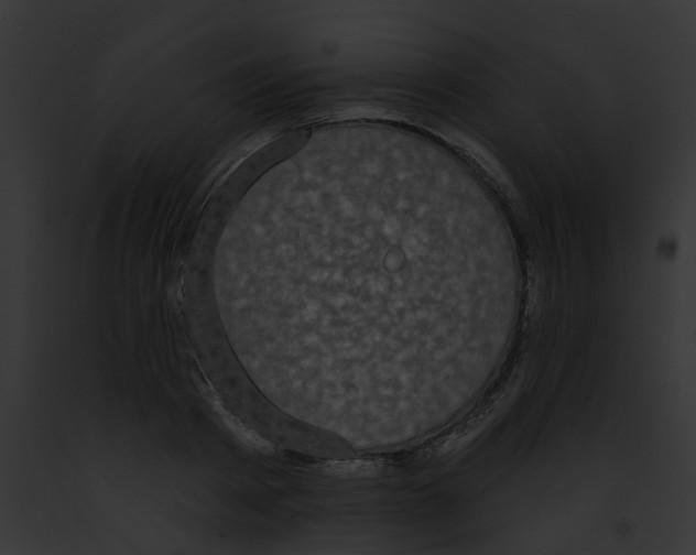 X0000091890793200710031140