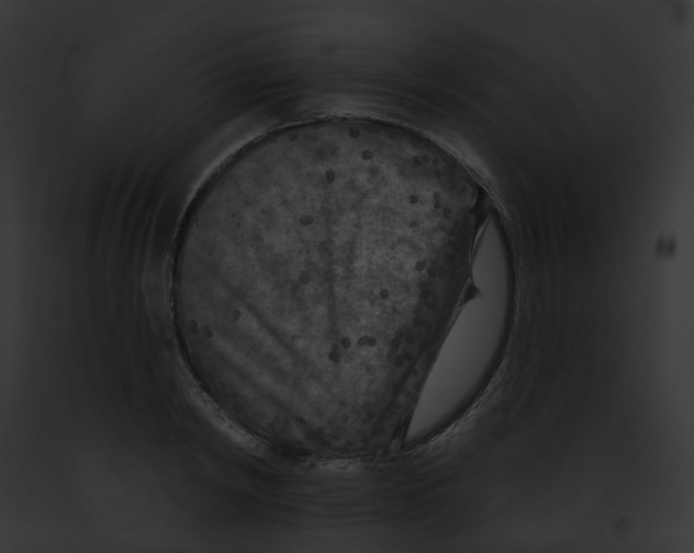 X0000091890798200710031140