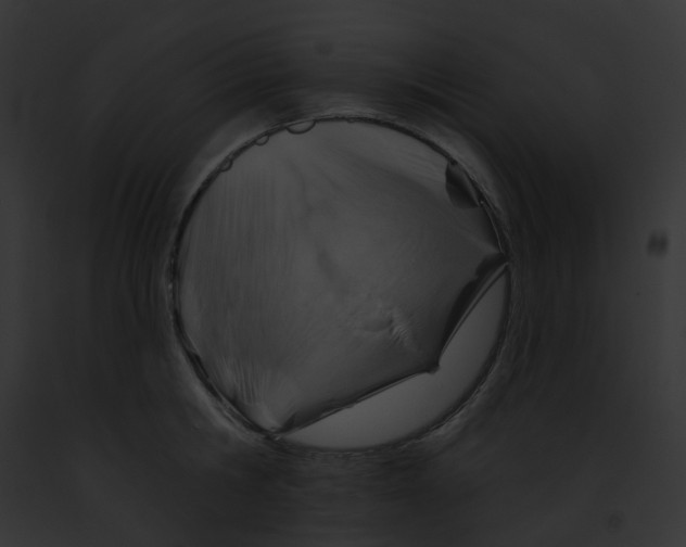 X0000091890806200710031140