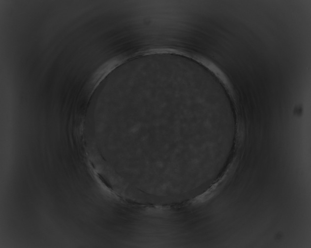 X0000091890809200710031140