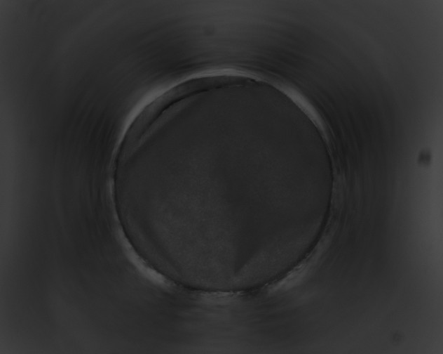 X0000091890813200710031140